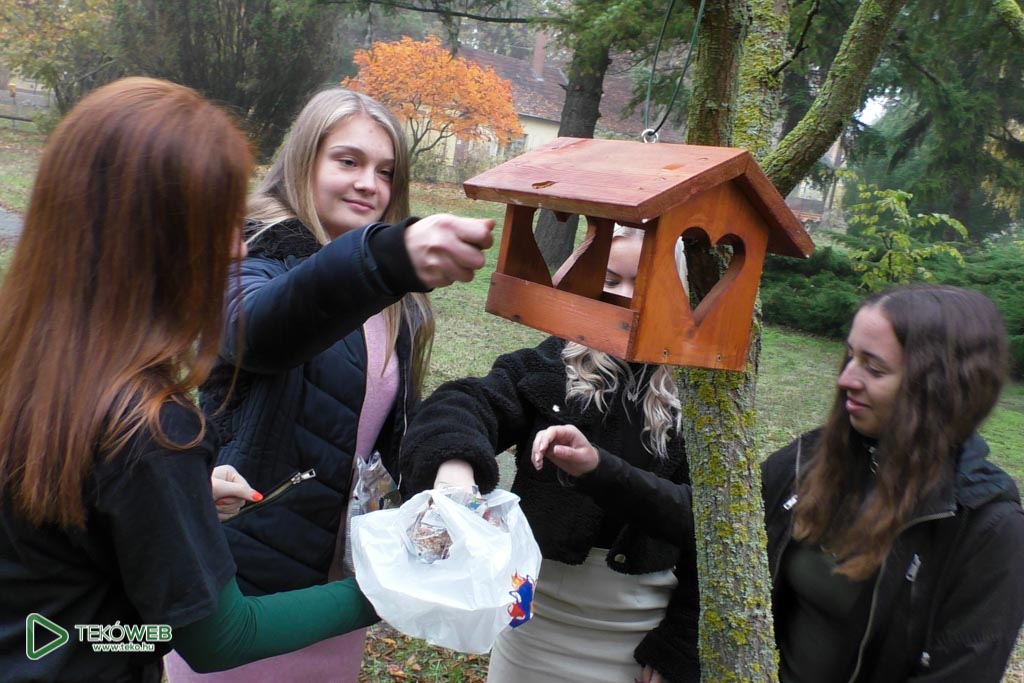 madareteto20 2
